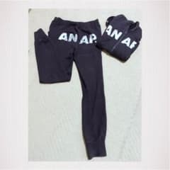 ANAP セットアップのサムネイル