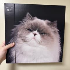 カネコアヤノ 『燦々』 LP カネコアヤノ 燦々 オリジナル初回限定生産LP盤 - メルカリ