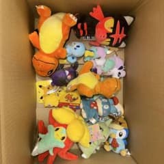 ポケモン　ぬいぐるみ　11点セットのサムネイル