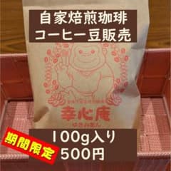期間限定ワンコインコーヒー　自家焙煎珈琲 インドネシアマンデリンG1 100gのサムネイル