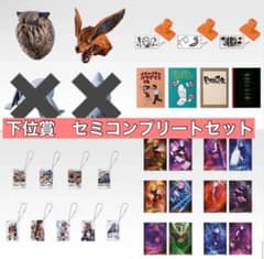 이치 반 쿠지 NARUTO 나루토 질풍전 풍영탈환편 하위상 세미컴프셋