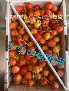 山形県産さくらんぼ (佐藤錦) かのの様専用のサムネイル