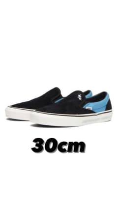 VANS liberaiders 30cm最終値下げ！のサムネイル