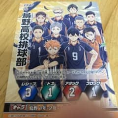 ハイキュー　バボカ　烏野高校排球部のサムネイル