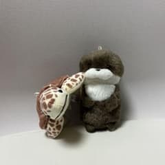 カワウソ カメ ぬいぐるみ マスコット 2点セットのサムネイル