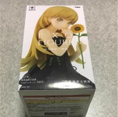 西尾維新大辞典 EXQ フィギュア 忍野忍のサムネイル