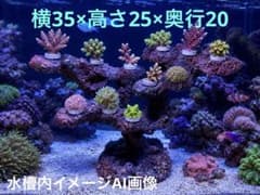 人工ライブロック PHR82／11穴加工擬岩/60cm水槽〜/海水魚/サンゴ水槽