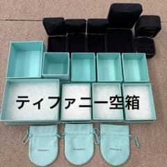 空き箱Tiffany & Co. ギフトボックス 巾着袋 まとめ売り ネックレス