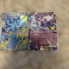 ポケモンカード ニドリーナ ミュウツーex 2枚セットのサムネイル