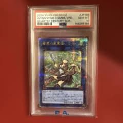 PSA10 蒼翠の風霊使いウィン 25th QCSE クォーターセンチュリー - メルカリ