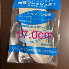 教育バレーDX 中敷き　17.0cmのサムネイル