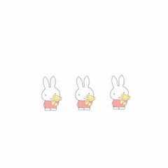 アクリル専用のサムネイル