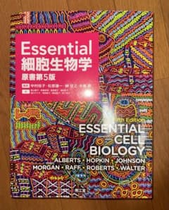 Essential 細胞生物学 原書第5版のサムネイル
