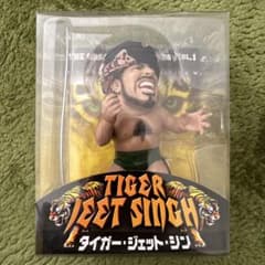 レア‼️人気‼️プロレスフィギュア タイガージェットシン - メルカリ