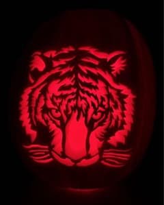 手彫りジャコランタン　トラ