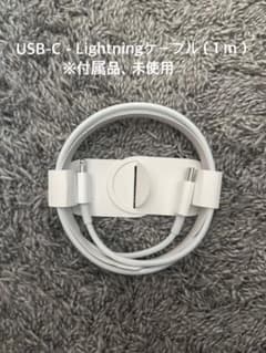 USB-C - Lightningケーブル（1 m）のサムネイル
