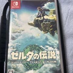 a*w님 젤다의 전설 티어즈 오브 더 킹덤 Switch 소프트