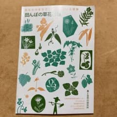 田んぼの草花指標 あなたのまなざしを待っている世界のサムネイル