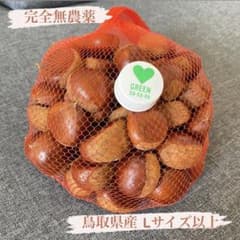 値下げ！完全無農薬 鳥取県産 生栗 6kgのサムネイル
