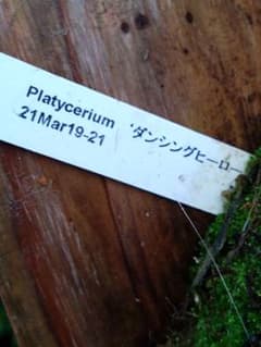 m95375006270_1.jpg?1694154525