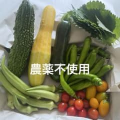 農薬不使用　夏野菜　詰め合わせ　コンパクト　自然栽培のサムネイル