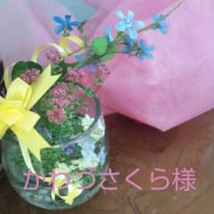 かわづさくら様専用のサムネイル