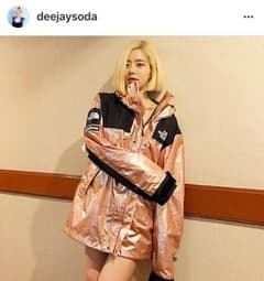 Supreme North Face Mountain Parkaのサムネイル