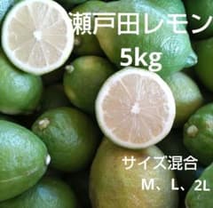 瀬戸田レモン グリーンレモン 5kg サイズ混合 - メルカリ