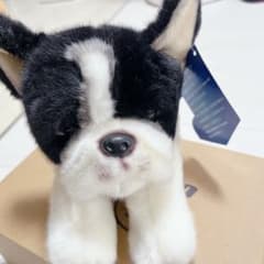 ラスト1点✨フレンチ ブルドッグ 犬 ぬいぐるみ リアル ソフト フレンチ ブルドッグ 犬 ぬいぐるみ リアル ソフト - メルカリ