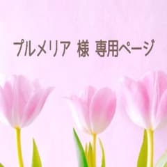 プルメリア 様 専用ページです。のサムネイル