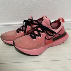 NIKE ナイキ　リアクトインフィニティラン　フライニット　24cmのサムネイル
