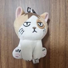ハイキュー!! 猫 マスコットのサムネイル
