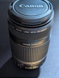 Canon EF-S 55-250mm f/4-5.6 IS 캐논 정크