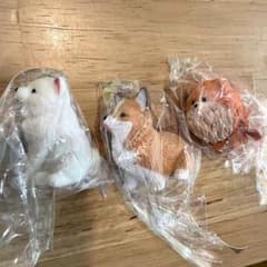 おすわり〜ぬ4 ぽめ〜ぬ　しば〜ぬ　こぎ〜ぬのサムネイル