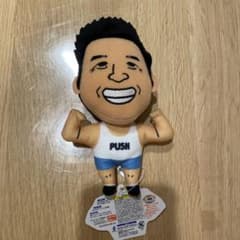 なかやまきんに君ボイス付きぬいぐるみのサムネイル