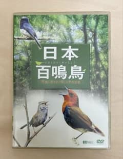 日本百鳴鳥 DVD 映像と鳴き声で愉しむ野鳥図鑑 - メルカリ