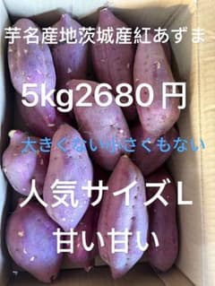 茨城県産紅あずま 5kg2680 訳ありじゃないのサムネイル