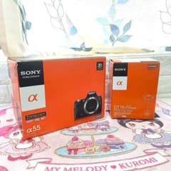 890】SONY α55 デジタル一眼レフカメラ 18-55mmレンズ付 未確認 - メルカリ