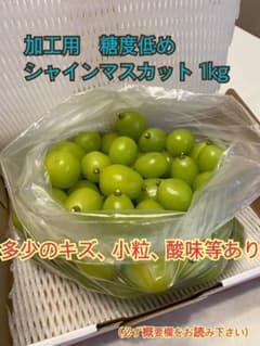 [1-26]シャインマスカット  加工用(糖度低め)1kgのサムネイル