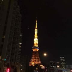 シンバ様専用のサムネイル