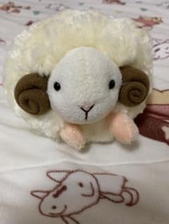  クリーム色 ぬいぐるみ 羊 未使用 クリーム色の羊のぬいぐるみ - メルカリ