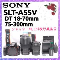 ❤即購入1000円OFF❤美品❤ ソニー α55 超望遠レンズ ダブルズーム