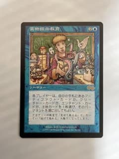 マジックザギャザリング MTG 実物提示教育　Show and Tell USGのサムネイル