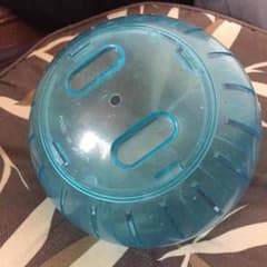 ハムスターボールのサムネイル