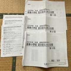 理英会】年長 夏期志望校別ゼミ 精華小学校 夏の総まとめ 2025年度