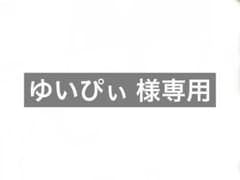 専用ページのサムネイル