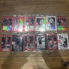 バレーボール日本代表カード12枚セットのサムネイル
