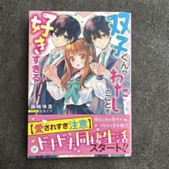 双子くんがわたしのことを好きすぎる 藤崎珠里のサムネイル