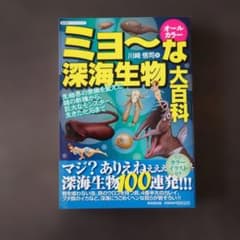 ミヨ〜な深海生物大百科 川崎悟司のサムネイル