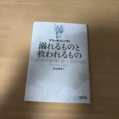 溺れるものと救われるもの プリモ・レーヴィ 朝日文庫のサムネイル